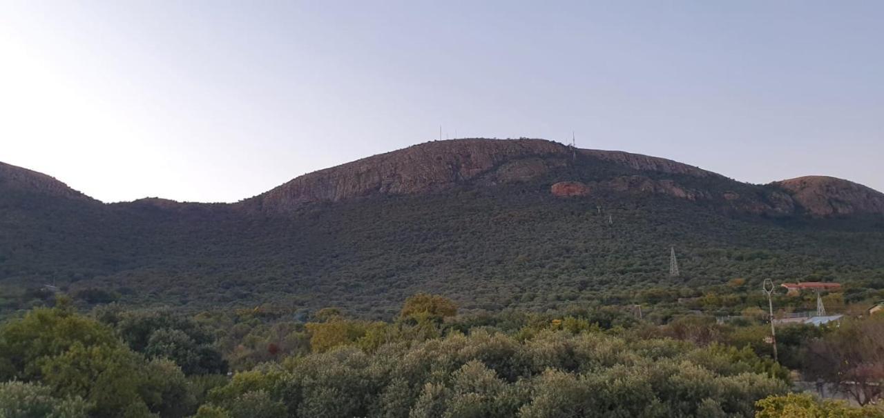 הוילה הארטביספורט Nehema Manor מראה חיצוני תמונה